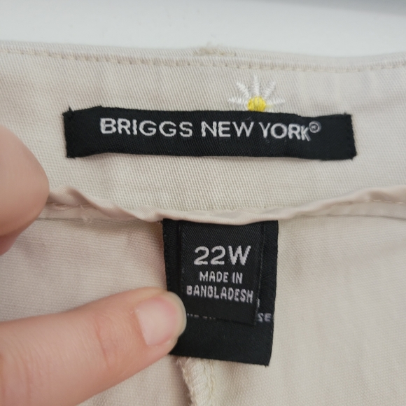 Briggs New York Capris 22W Flowers - Picture 6 of 8